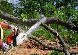 Best Lawn Mowing  in Hollymead, VA